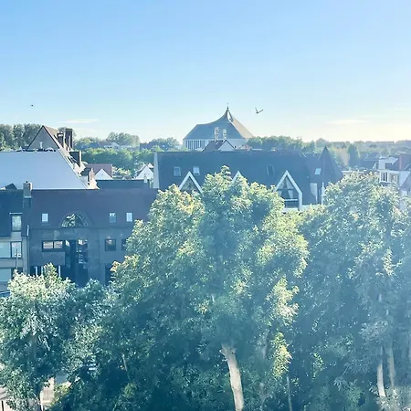 Sea You Soon コクセッド