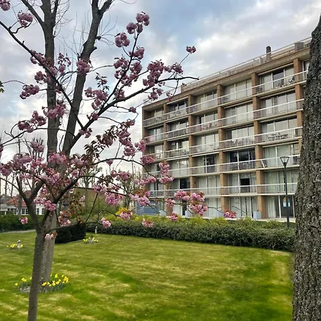 Sea You Soon Apartman Koksijde