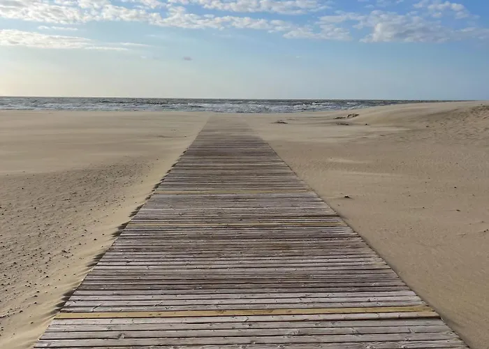 Sea Soon * 코크시데