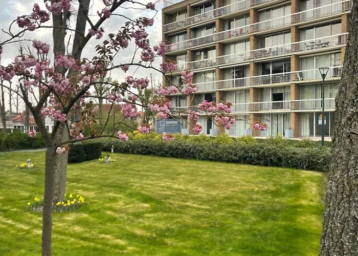 Sea Soon * 코크시데